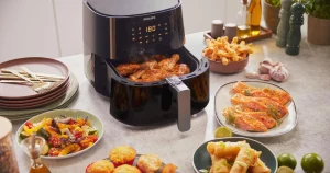 Homepage 11 holsem air fryer
