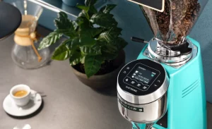 quietest coffee grinder