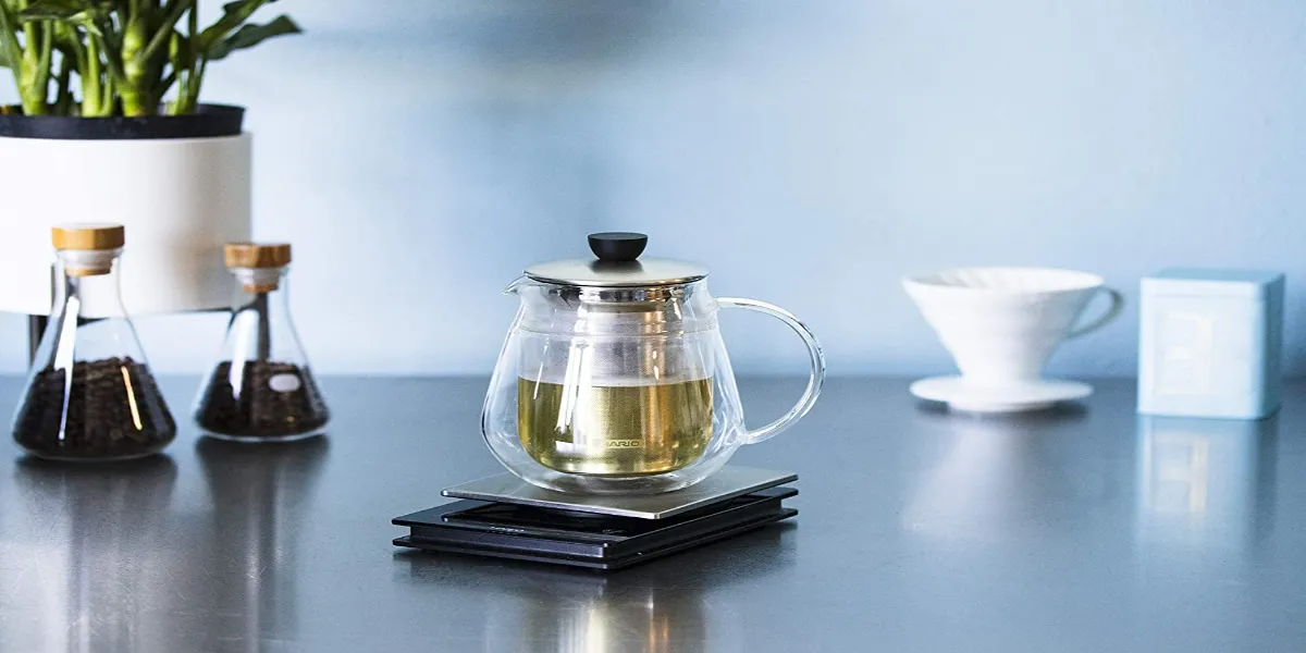 Best Double Wall Teapot For The Perfect Cup Of Tea 1 double wall teapot
