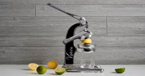 Homepage 13 lemonade makers